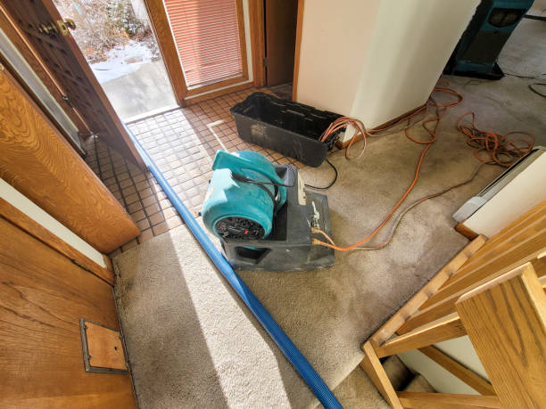 Best Local water damage restoration  in Bridgeton, MO