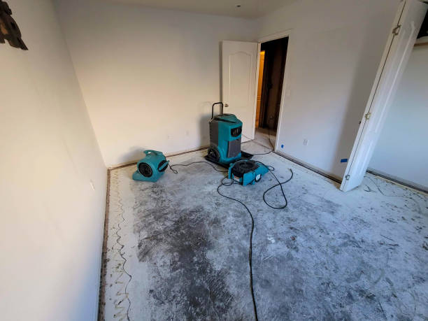 Best Flood restoration services  in Bridgeton, MO