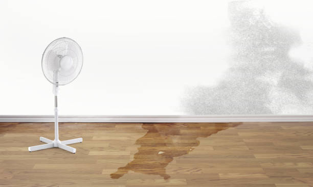 Best Flood damage cleanup  in Bridgeton, MO