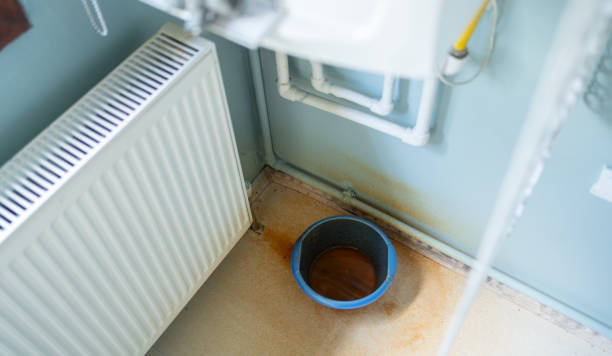 Best Water damage contractors near me  in Bridgeton, MO
