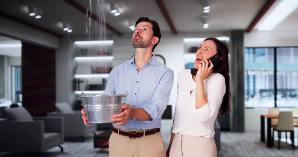 Best Water damage restoration near me  in Bridgeton, MO